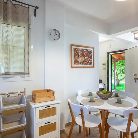 Elaia * חניוטי